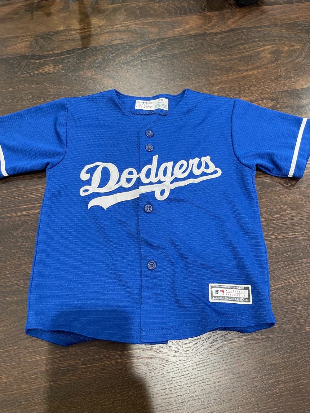 Los Angeles Dodgers Youth Button-Up Jersey in Royal Blue